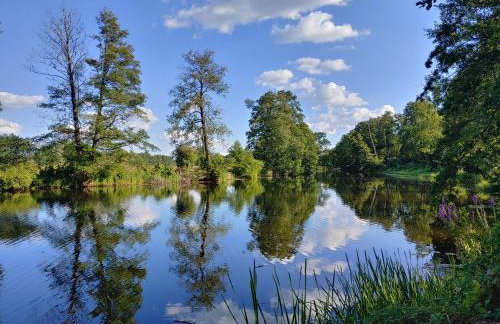Masuria Warsaw - dom na wyłączność - w lesie i przy rzece - 15 min od Warszawy - Foto 48