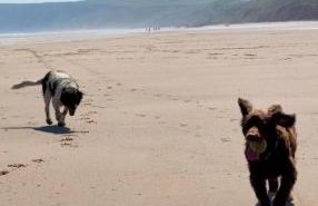 Autumn Cottage - Photo 32