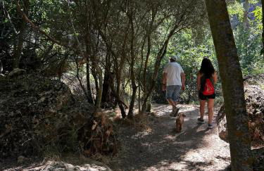 Casa Rural en Valera La Egipcia - Foto 34