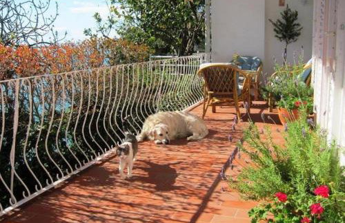 Seaside holiday house Podaca, Makarska - 22964 - Foto 17