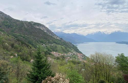 The Happy Rooster - Villa with Big Garden - Foto 31