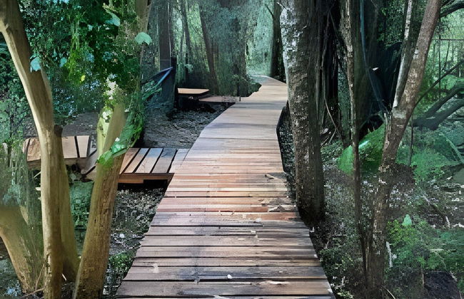 Cabañas Los Notros Puerto Varas - Foto 40