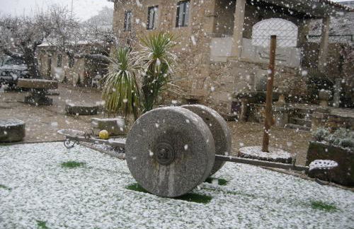 Risoturismo-Quinta das Pias - Holiday Farm - Foto 10