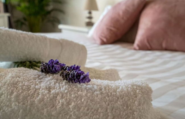 Pool House Giulia Comfortable Holiday Residence - Foto 5