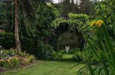 Sowi Dworek - Foto 3