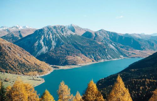 Residence Lex - Foto 36