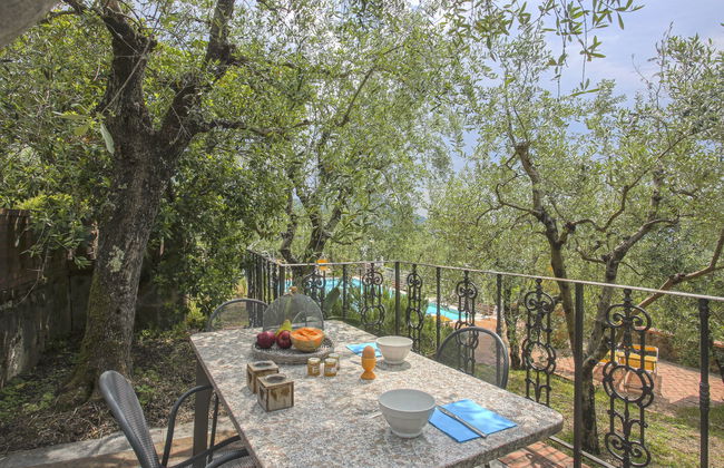 Borgo della Limonaia - Foto 17