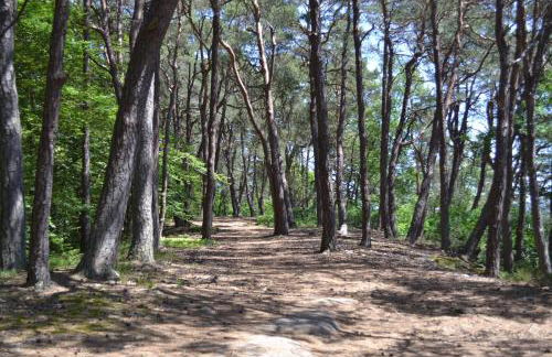 Zauber der Pfalz - Foto 70