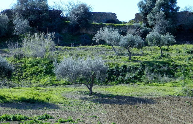 Agriturismo Passo dei Briganti - Foto 35