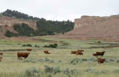 Cozy Cottage Rental for Six on a Working Ranch in Crawford, Nebraska - Foto 37