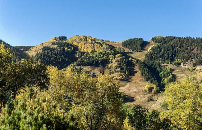 Miners Trail Road Home by iTrip Aspen Snowmass - Foto 36