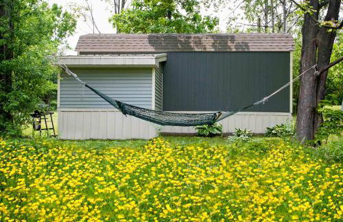 Lil Hickory - Foto 10