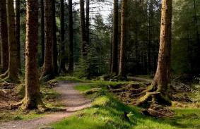 Mill Farm Retreat - Foto 16