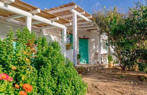 Xerolithia Guesthouse - Photo 48