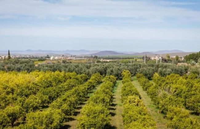 Villa Norkaso - Foto 33