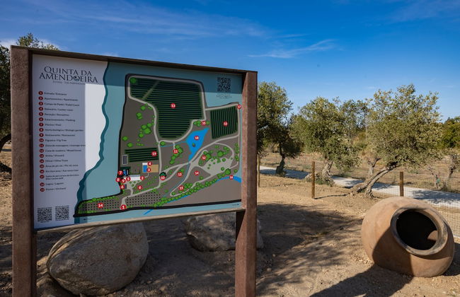 Quinta da Amendoeira - The Farmhouse - Photo 32