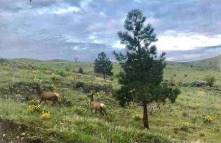 Modern Tiny House with Spectacular Views - Foto 31