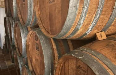 Sonne - Golf - 4Pers - Komfort - Apartments - Foto 70