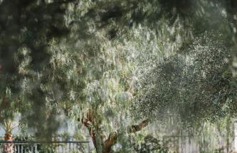 Villa di Marinella - Foto 42