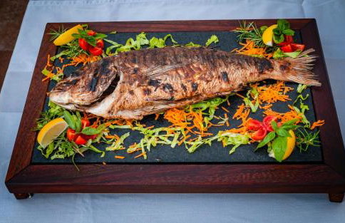 Boutique Pine Tree apartments - Foto 64