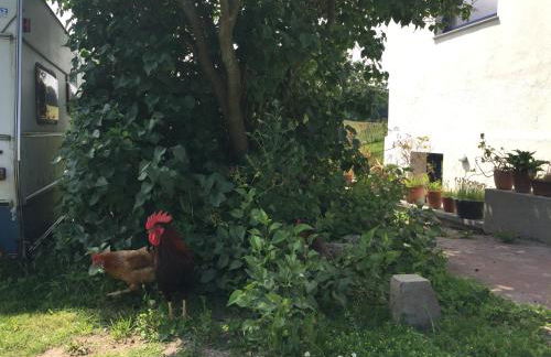 Hof Uhleck am Königsstuhl - Foto 28