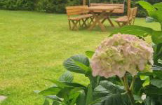 Kaczmarówka - Foto 13