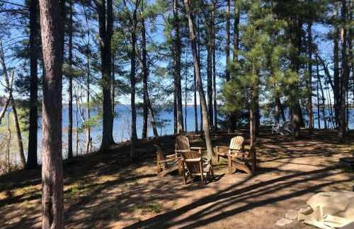 Wild Refuge Lodge - Foto 7