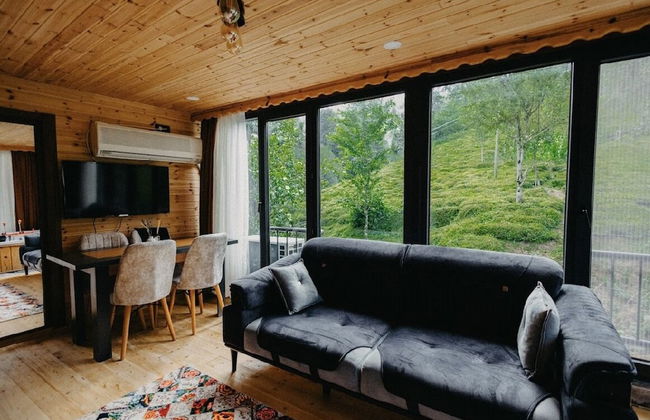 efedagsuit - Foto 10