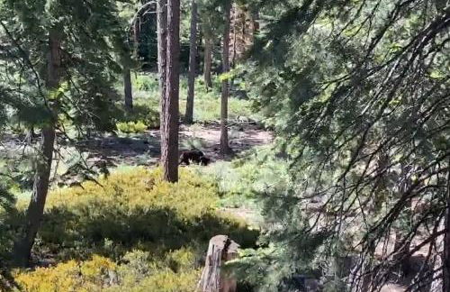 Luna Cabin - 5BR Hot Tub A/C Game Room EV Charger - Foto 33