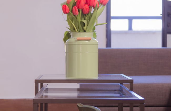 Shenkin Vilmar Apartments - Foto 8