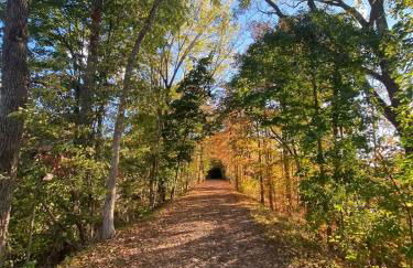Unique Dome Home With Hot Tub & Piano, on 28 acres - Foto 43