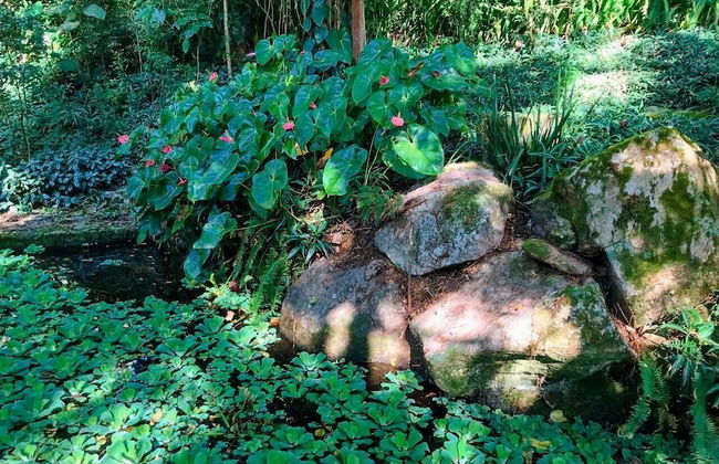 Loft Aconchegante em Meio à Natureza - Foto 43