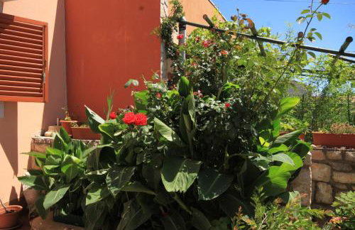 Apartments with parking space Cunski, Losinj - 8010 - Foto 9