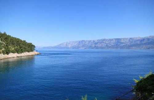 Apartments by the sea Cove Mala Pogorila, Hvar - 8952 - Foto 30