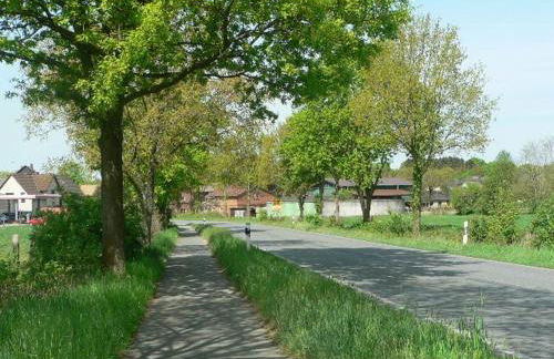 Ferienhaus-Steinburg - Foto 39