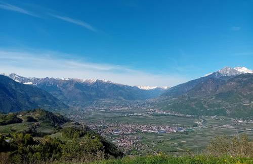 FeWo Passo-Palade - Foto 34