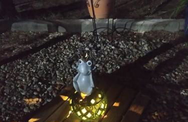 El Pinar del Rondero J&M En Plena Naturaleza - Photo 69