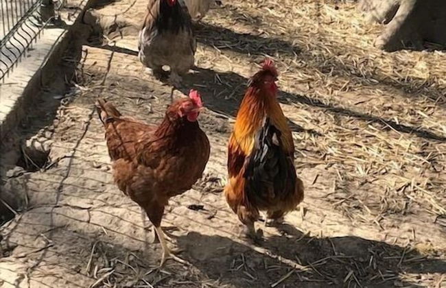 Les Cabanes de Warincthun - Foto 72