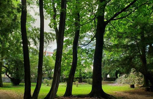 Dreamy Château for big groups and their pets - Foto 47