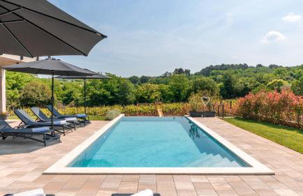 Beautiful villa Perlin with pool in Visnjan - Photo 2