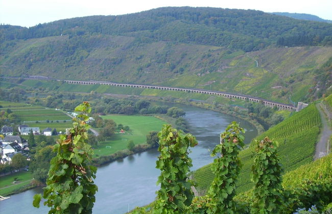 Lovely Modern Apartment, Near the Mosel, Shops and Restaurants - Foto 29