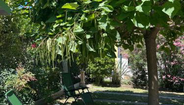Villa bifamiliare per famiglie con giardino - Foto 2, Garden, sunbed