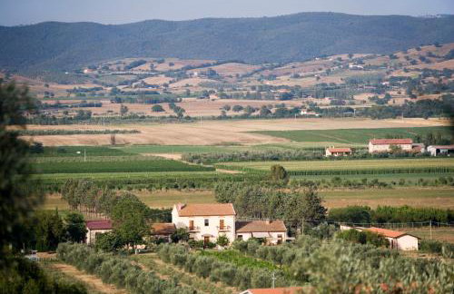 La Pulledraia Del Podere Montegrappa - Photo 16