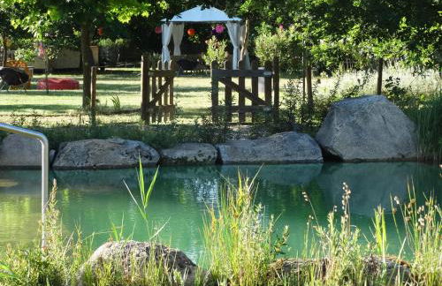 Casa das Palmeiras - Pedagogic Farm - Foto 46