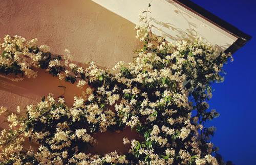 Giardini Hurz - Foto 10