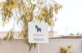 Masseria Prosperi - Photo 80