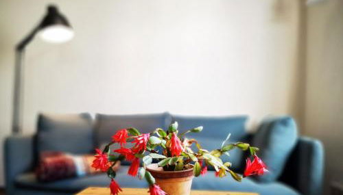 charmantes Apartment Siebenschläfer - Ferienwohnung Café 7 - Foto 4