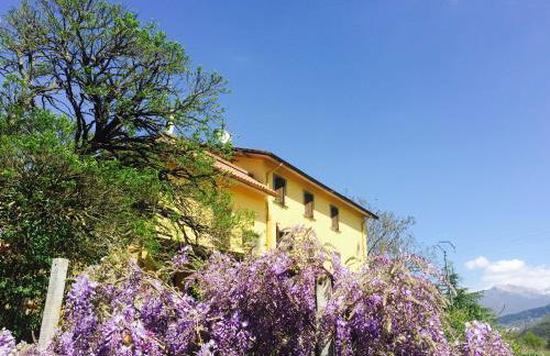 Agriturismo Il Bardellino - Foto 11