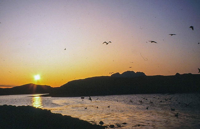 3 Person Holiday Home in Tranoy - Foto 7