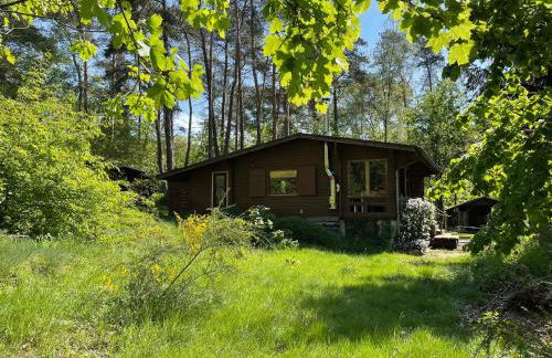 Ferienhaus Waldeule - Foto 6